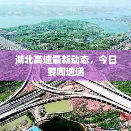 湖北高速最新动态，今日要闻速递