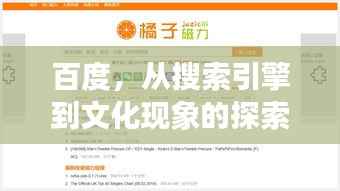 百度，从搜索引擎到文化现象的探索之旅