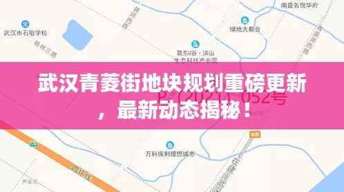 武汉青菱街地块规划重磅更新，最新动态揭秘！