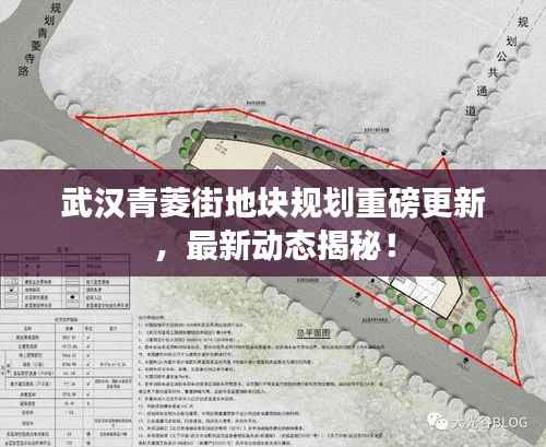 武汉青菱街地块规划重磅更新,最新动态揭秘!