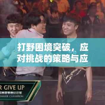 打野困境突破，应对挑战的策略与应对之道