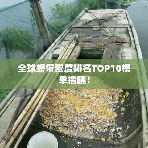 全球螃蟹密度排名TOP10榜单揭晓！