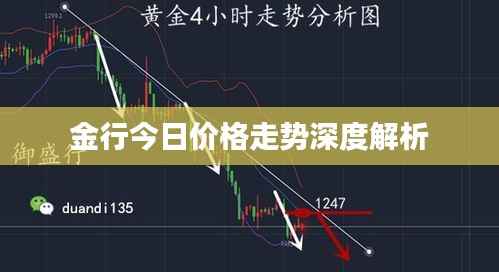 金行今日价格走势深度解析