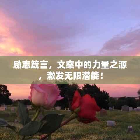 励志箴言,文案中的力量之源,激发无限潜能!