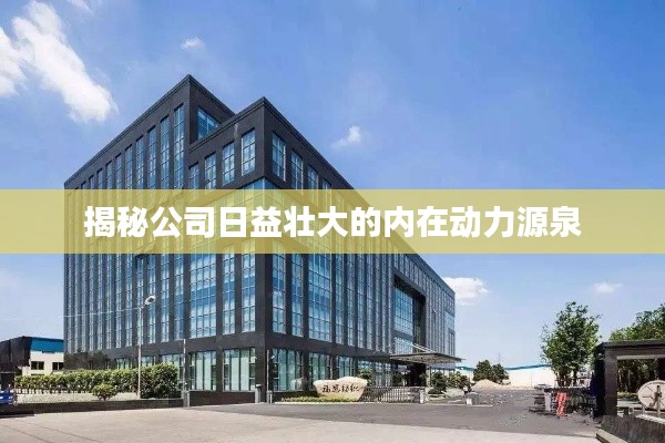 揭秘公司日益壮大的内在动力源泉