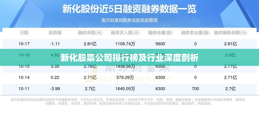 新化股票公司排行榜及行业深度剖析
