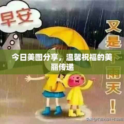 今日美图分享，温馨祝福的美丽传递