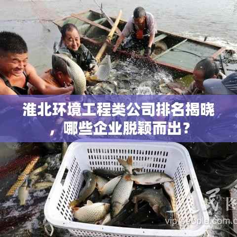 淮北环境工程类公司排名揭晓,哪些企业脱颖而出?
