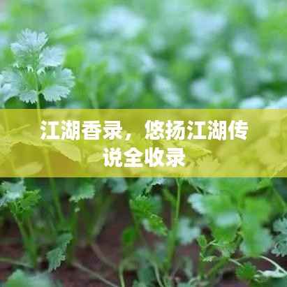 江湖香录，悠扬江湖传说全收录