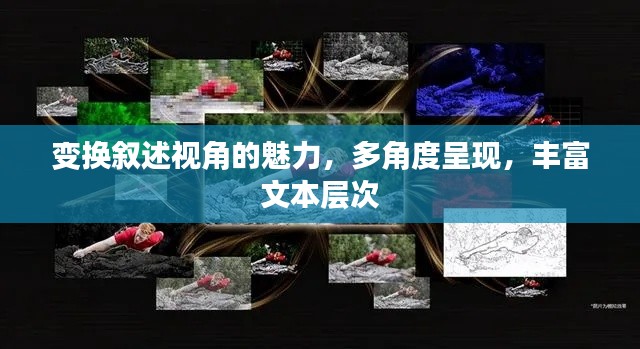 变换叙述视角的魅力,多角度呈现,丰富文本层次