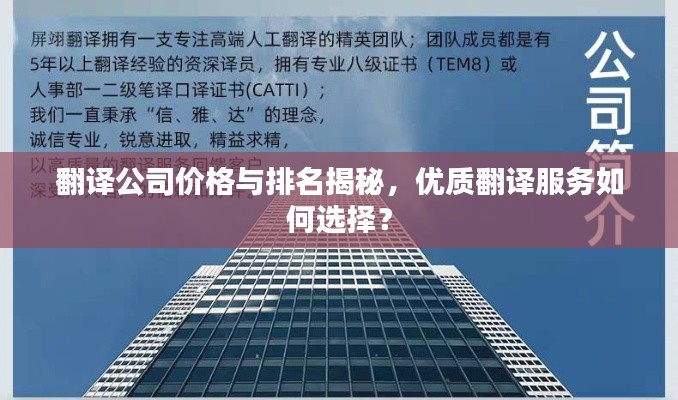 翻译公司价格与排名揭秘,优质翻译服务如何选择?