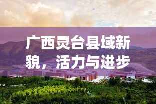 广西灵台县域新貌，活力与进步同步展现的新闻头条
