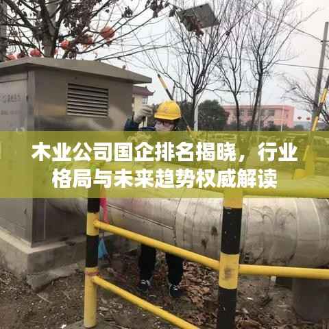 木业公司国企排名揭晓，行业格局与未来趋势权威解读