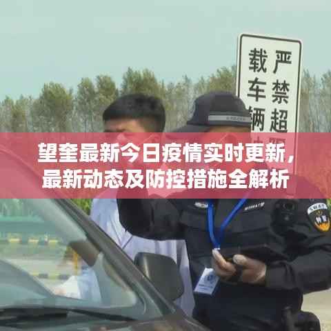 望奎最新今日疫情实时更新，最新动态及防控措施全解析