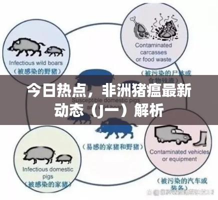 今日热点,非洲猪瘟最新动态(J一)解析