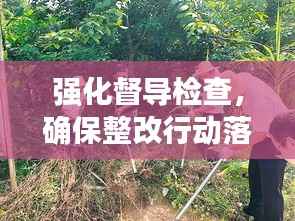 强化督导检查，确保整改行动落地生根