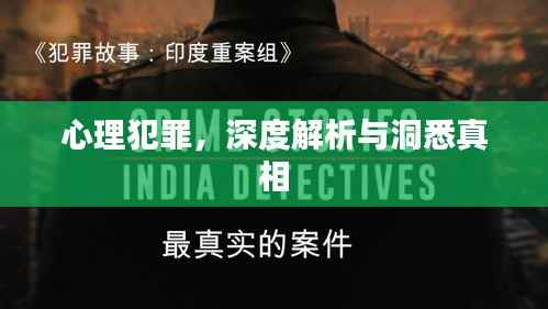 心理犯罪,深度解析与洞悉真相