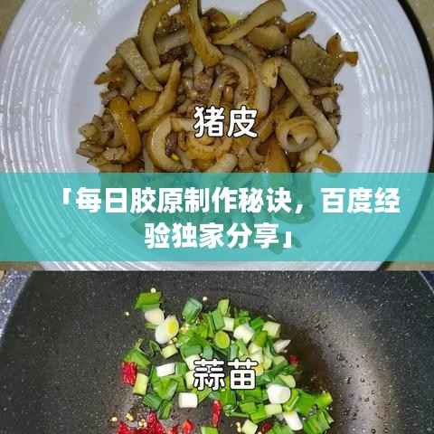 「每日胶原制作秘诀,百度经验独家分享」