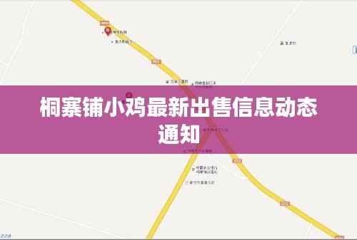 桐寨铺小鸡最新出售信息动态通知