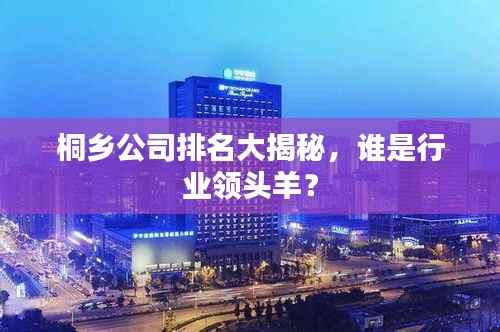 桐乡公司排名大揭秘，谁是行业领头羊？