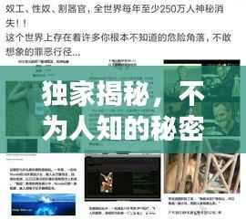 独家揭秘,不为人知的秘密大揭秘!