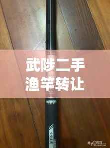 武陟二手渔竿转让最新消息，优质竿源不容错过