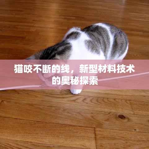 猫咬不断的线，新型材料技术的奥秘探索