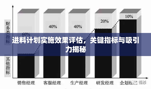 进料计划实施效果评估，关键指标与吸引力揭秘