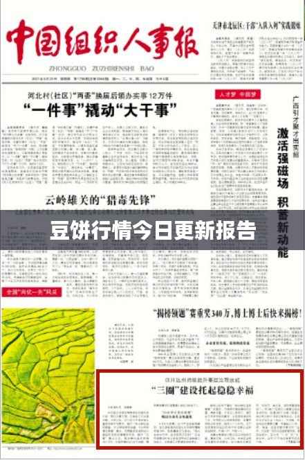 豆饼行情今日更新报告