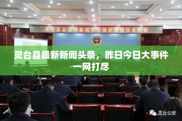 灵台县最新新闻头条,昨日今日大事件一网打尽