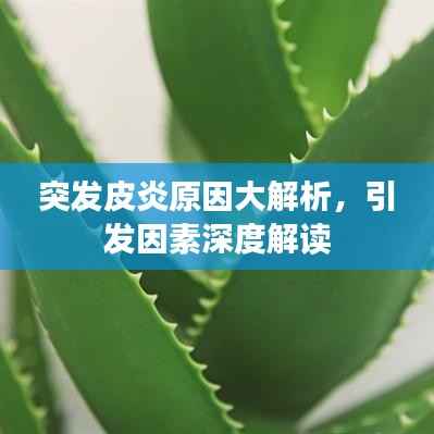 突发皮炎原因大解析,引发因素深度解读