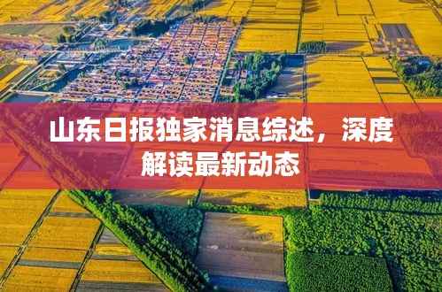 山东日报独家消息综述，深度解读最新动态