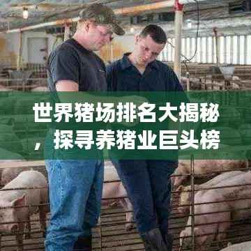 世界猪场排名大揭秘，探寻养猪业巨头榜单