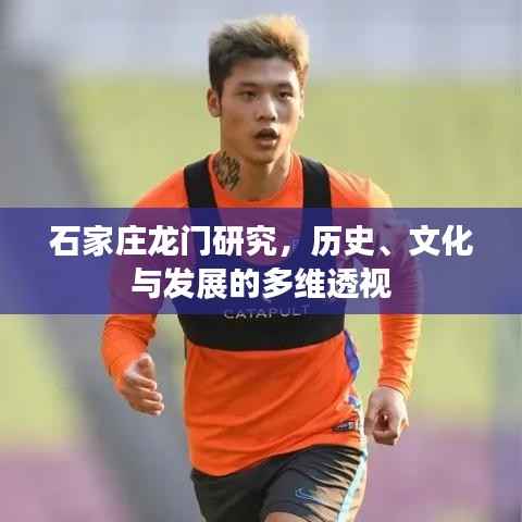 石家庄龙门研究,历史、文化与发展的多维透视