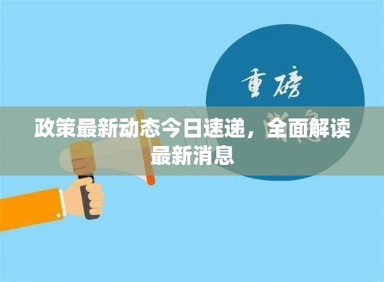政策最新动态今日速递，全面解读最新消息