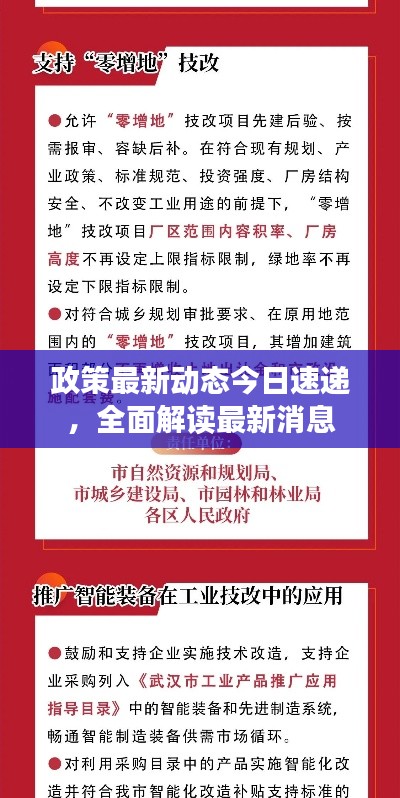政策最新动态今日速递,全面解读最新消息