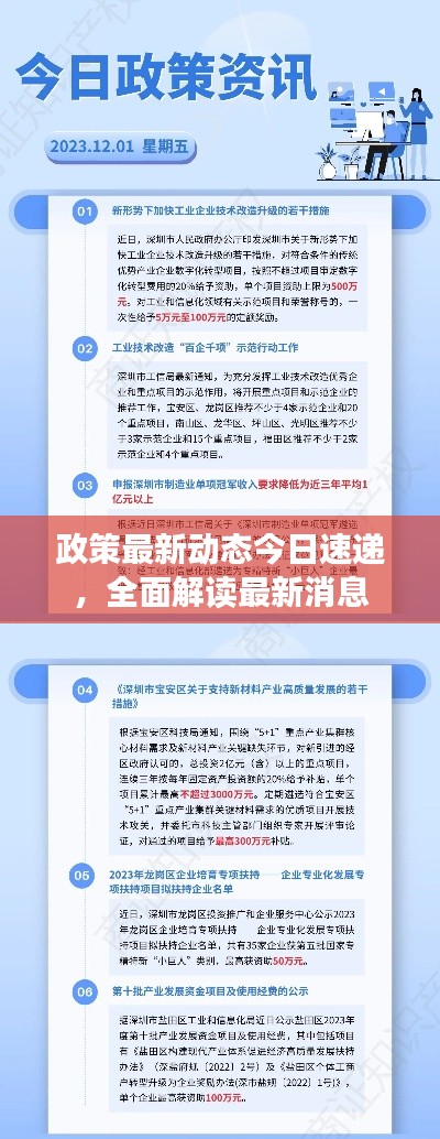 政策最新动态今日速递,全面解读最新消息