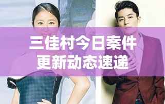 三佳村今日案件更新动态速递