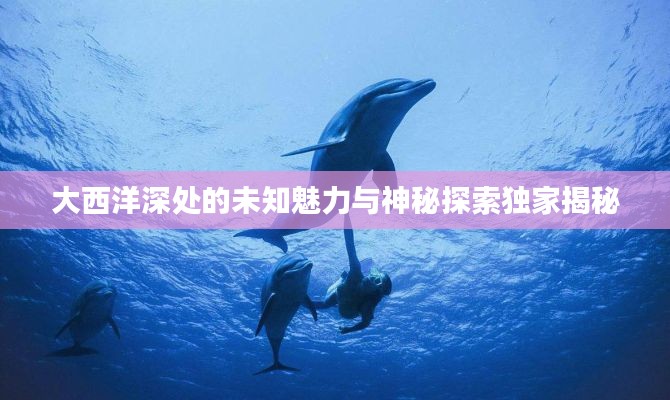大西洋深处的未知魅力与神秘探索独家揭秘