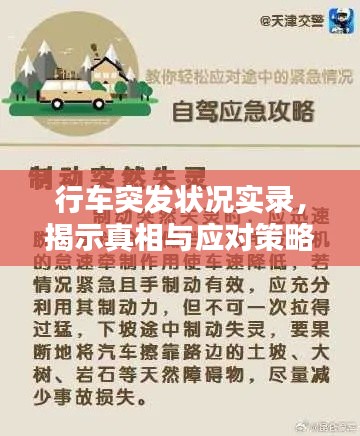 行车突发状况实录，揭示真相与应对策略