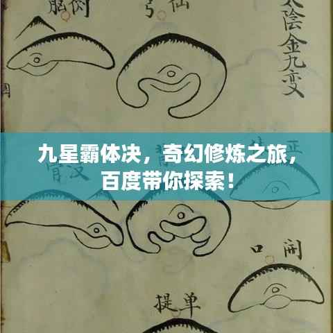 九星霸体决,奇幻修炼之旅,百度带你探索!