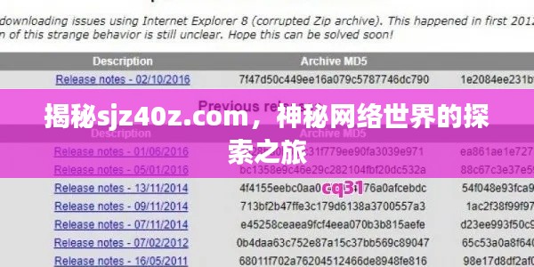 揭秘sjz40z.com，神秘网络世界的探索之旅