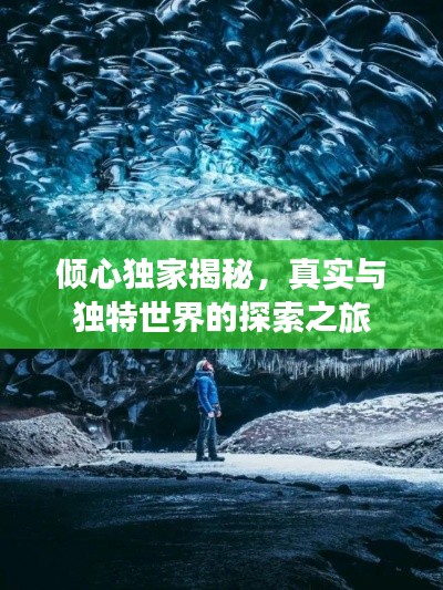 倾心独家揭秘，真实与独特世界的探索之旅