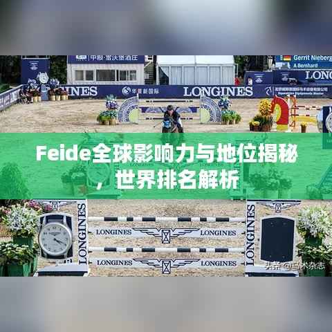 Feide全球影响力与地位揭秘，世界排名解析