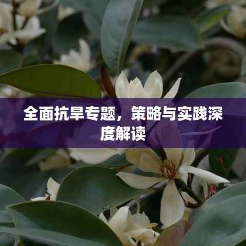 就楼磨刀 第4页