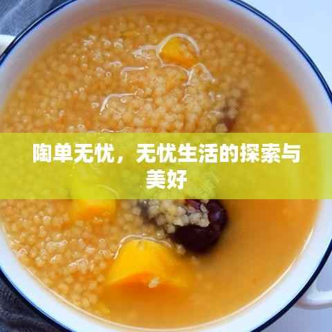 陶单无忧,无忧生活的探索与美好