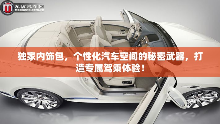 独家内饰包,个性化汽车空间的秘密武器,打造专属驾乘体验!