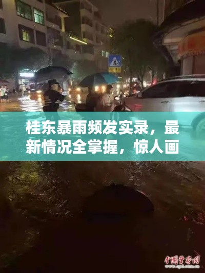 桂东暴雨频发实录，最新情况全掌握，惊人画面一览无余！