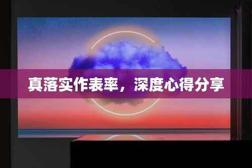 真落实作表率，深度心得分享