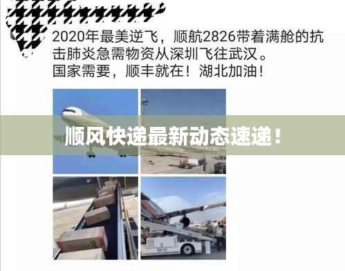 顺风快递最新动态速递！